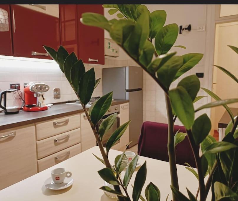 Apartment Galleria Sul Mare Triest